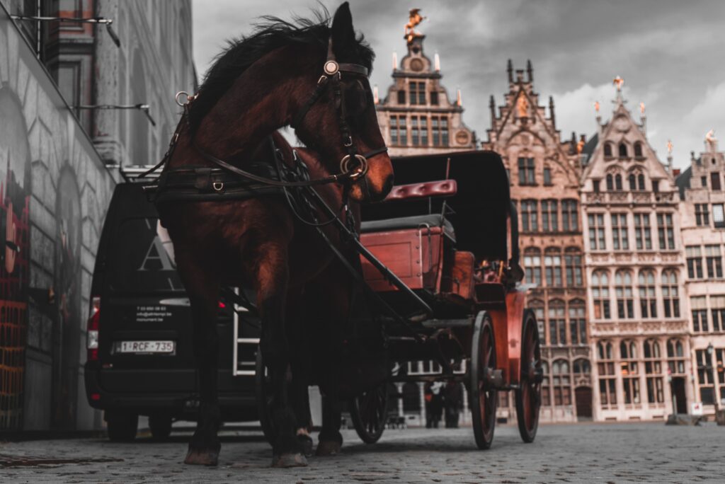 Carriage ride in Belgium