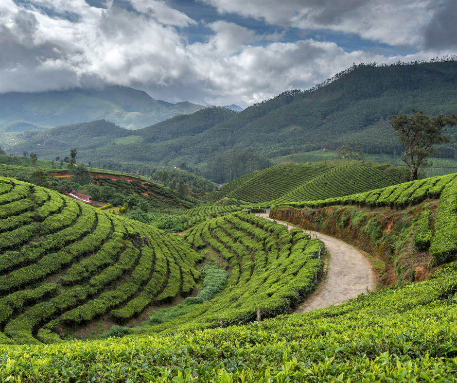 Kerala, India