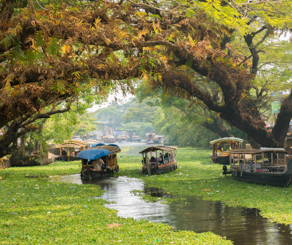 Kerala, India