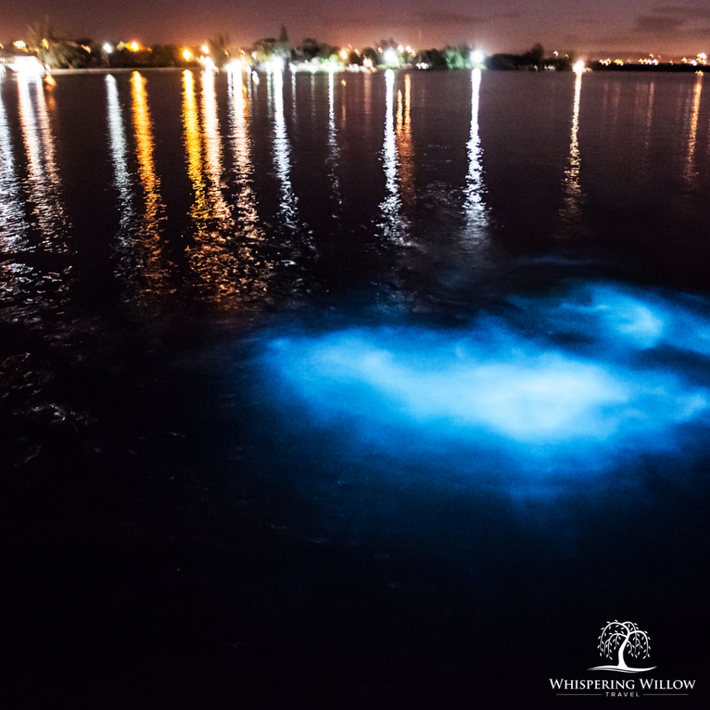 The Luminous Lagoon in Jamaica.