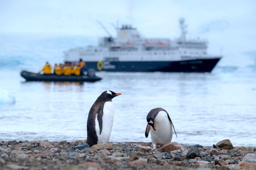 2 penguins on the shore with an expedition cruise in the background