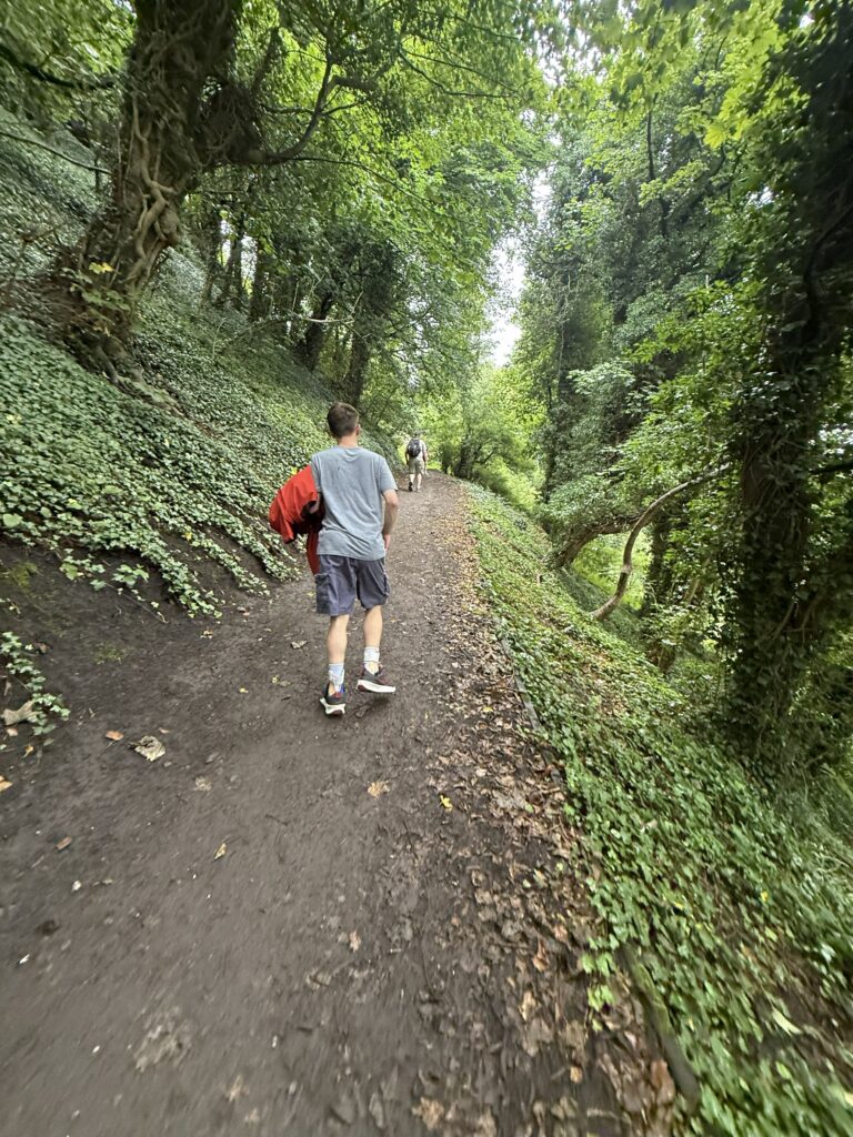 Aaron is taking a walk through the enchanted forest we found while walking to the castle