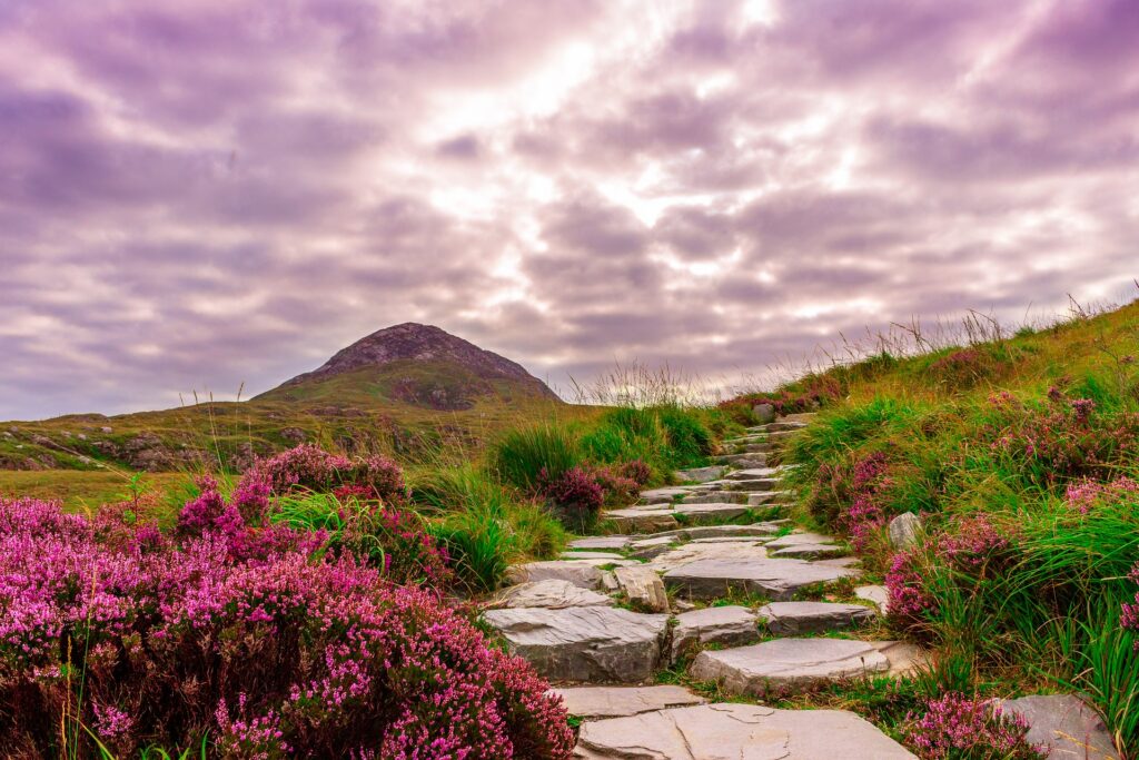 Ireland road trip planning — dramatic coastal cliffs on a late April day