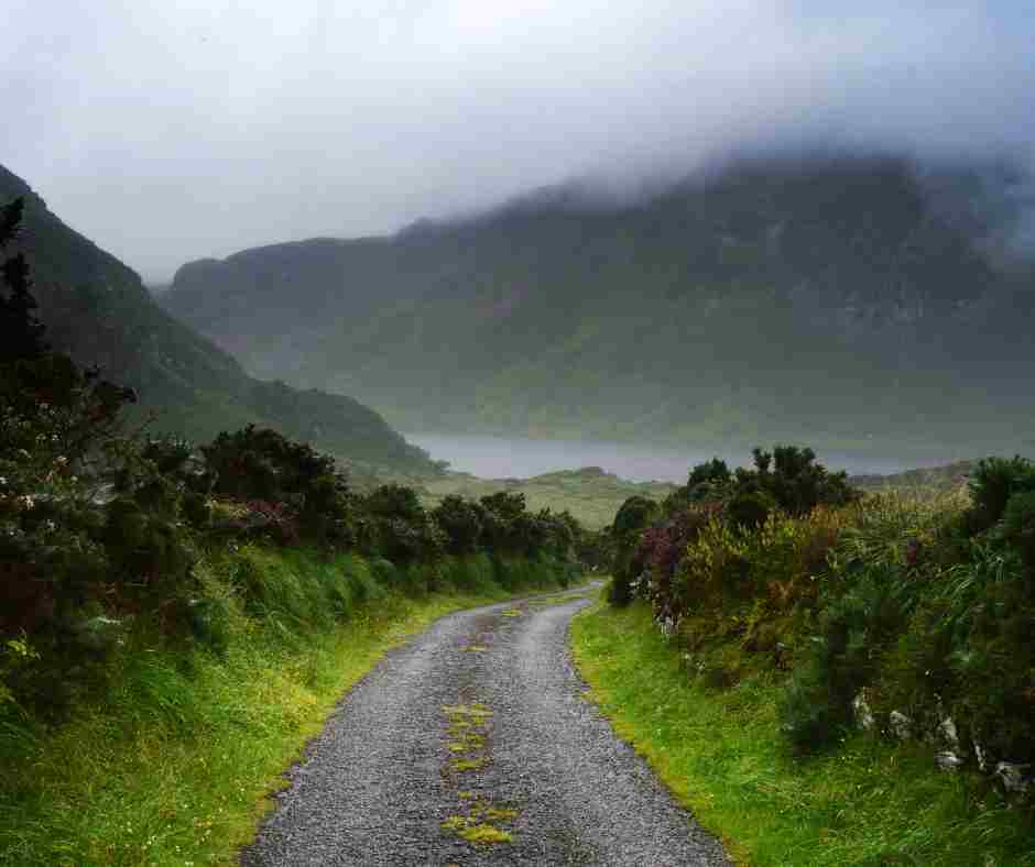 Winding country road through the Irish countryside on a self-drive Ireland road trip