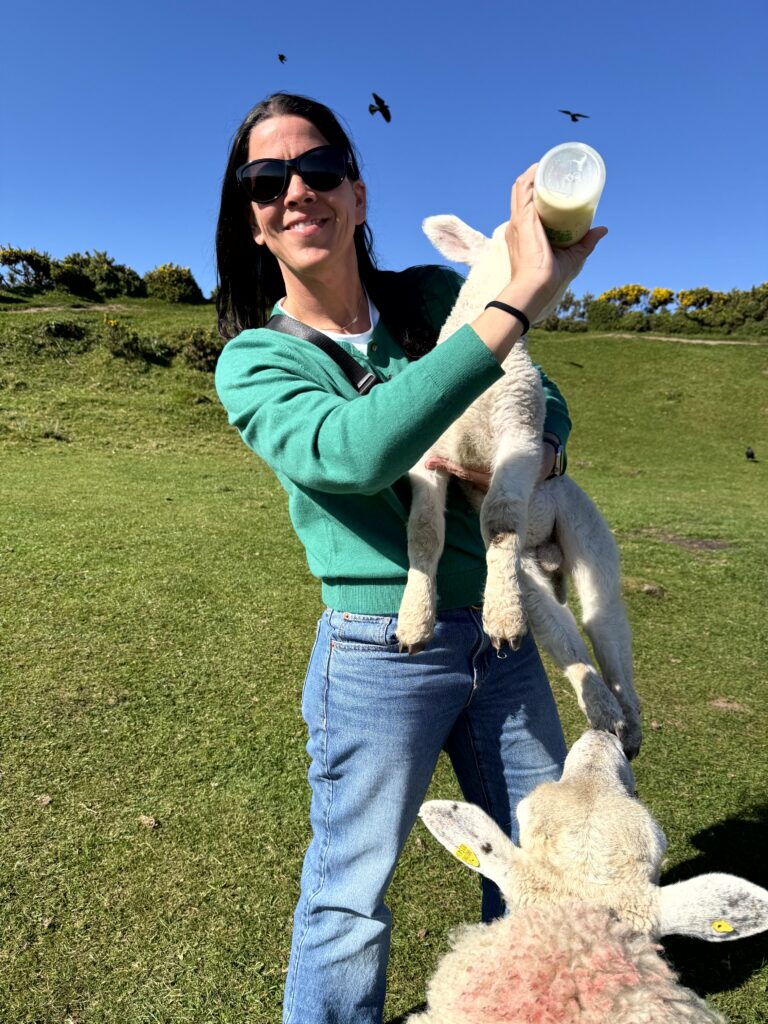 Bottle-feeding a lamb on Slea Head, Ireland, an independent trip moment